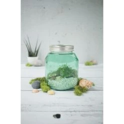 Rabatt 🥰 Leifheit Einmachglas 1,0 L, Jungle Green 🔥 -Angebote Leifheit Store unnamed file 1859